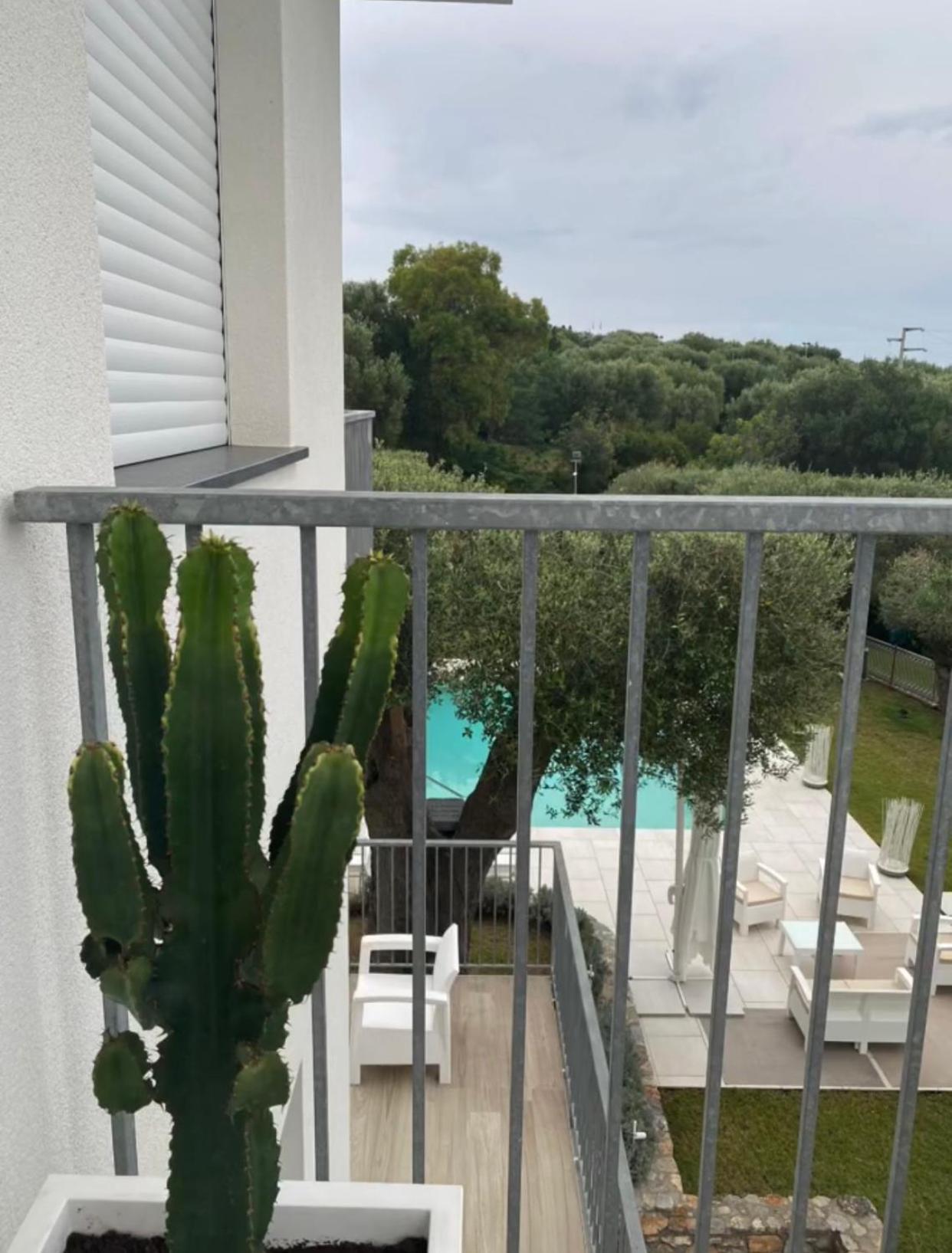 Micabalu Luxury Apartment Marina di Camerota Exteriör bild